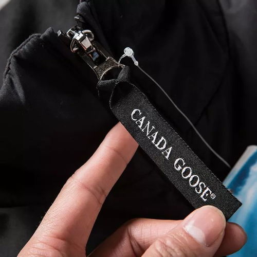 今年啥產品最火,兄弟們知道嗎 大鵝羽絨馬甲