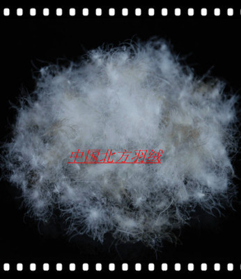 【鴨毛 羽絨供應遼寧的好羽絨 羽絨】價格,廠家,圖片,羽毛、羽絨,安新縣大張莊北方羽絨制品銷售部-