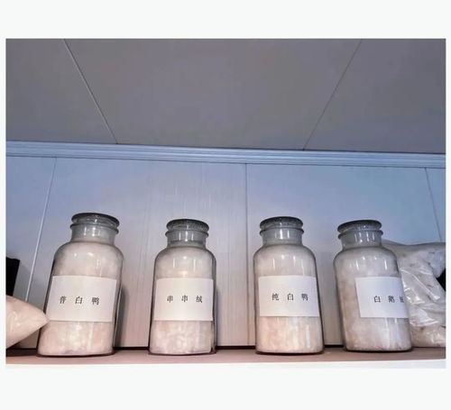 寶升家紡 年產20萬件羽絨制品項目 助跑 預計年產值同比增長233