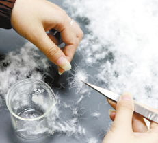 喜迎2013蕭山兩會譜寫文明幸福新篇章